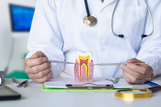 Best Emergency Root Canal Treatment in Manning, SC